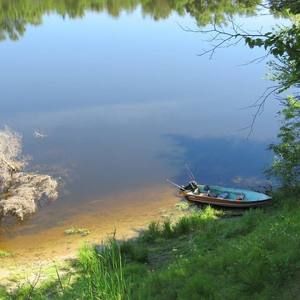 Meet your Posher, Barbara